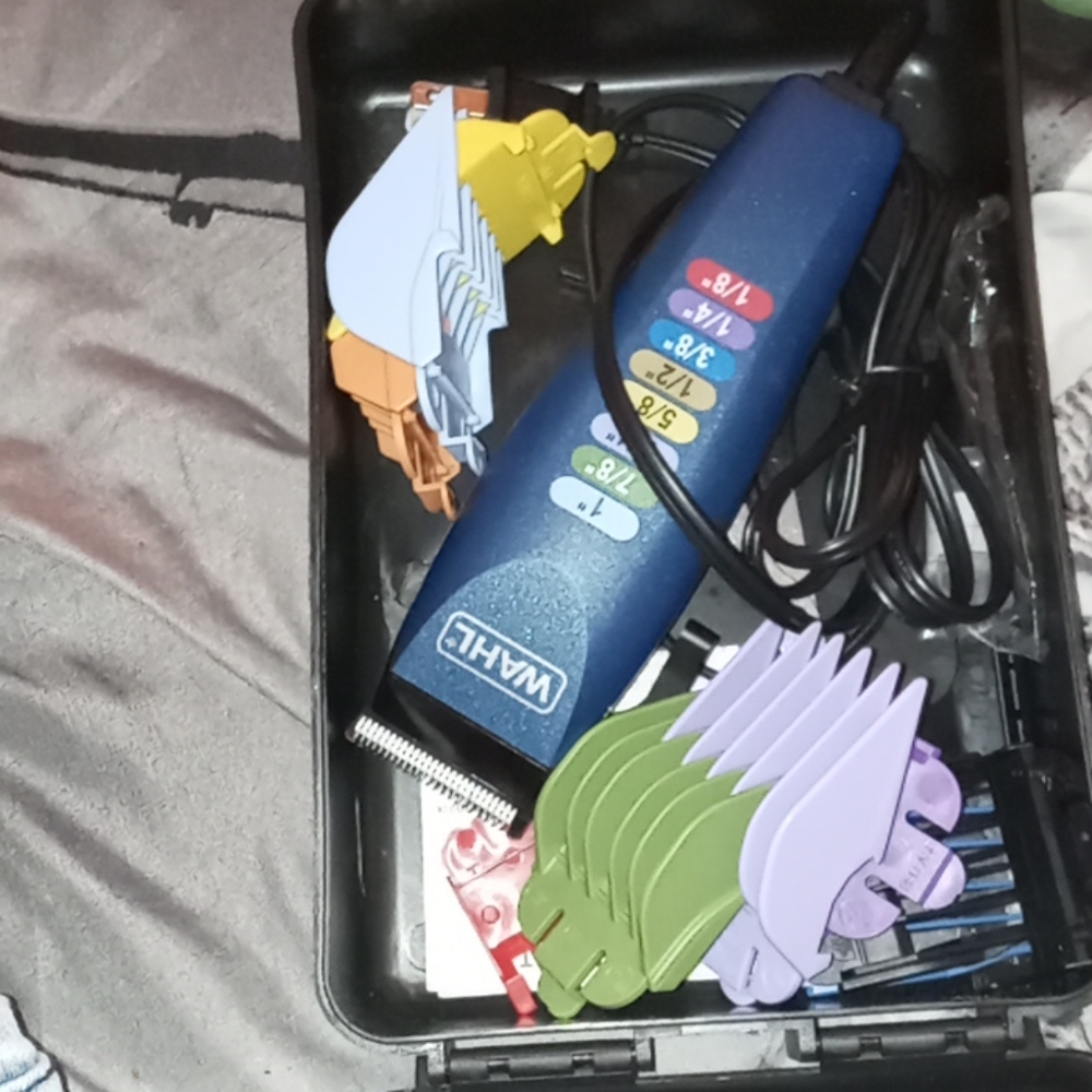 Clipper